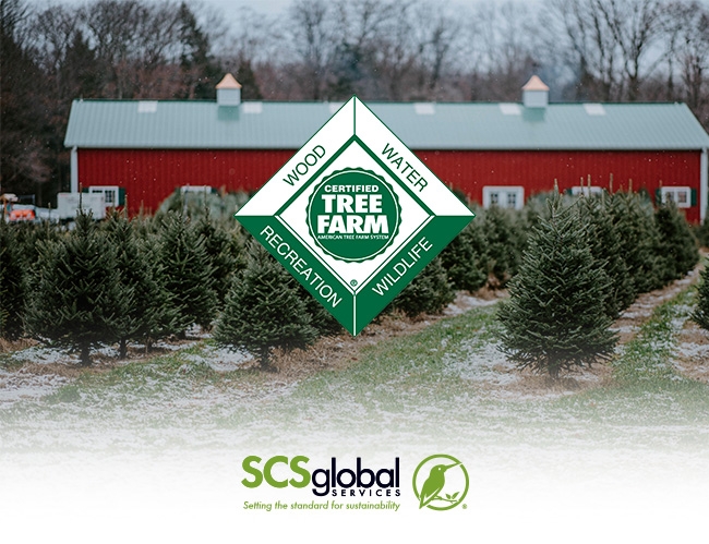 Private Landowners and Family-Owned Forests Can Now Be ATFS Certified by SCS Global Services