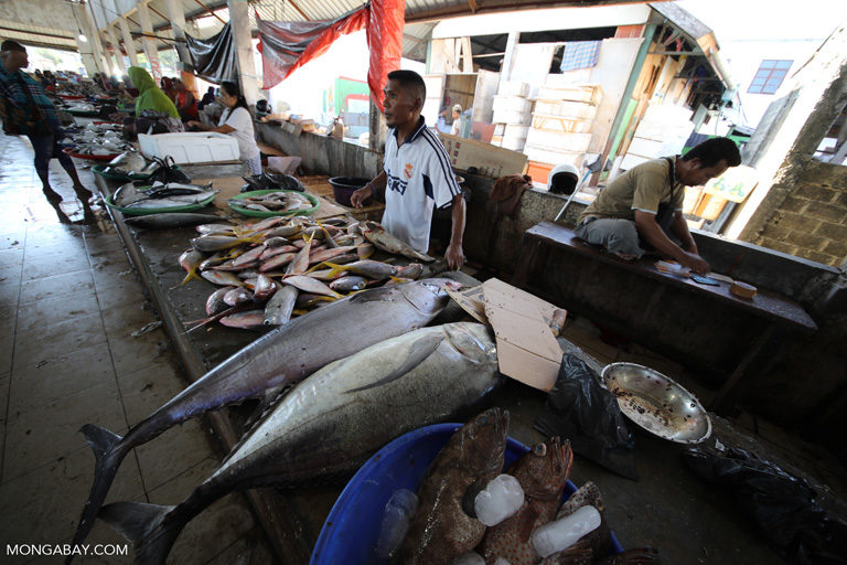 Indonesian fisheries fee change promises more revenue, but likely also more violations